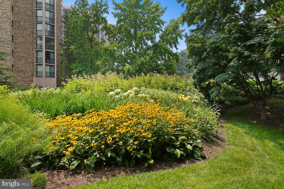 MONTEBELLO - Residential