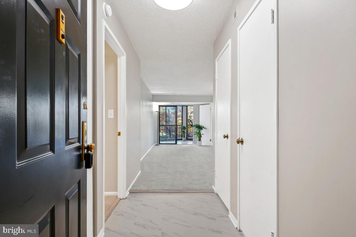 5902 MOUNT EAGLE DRIVE 303