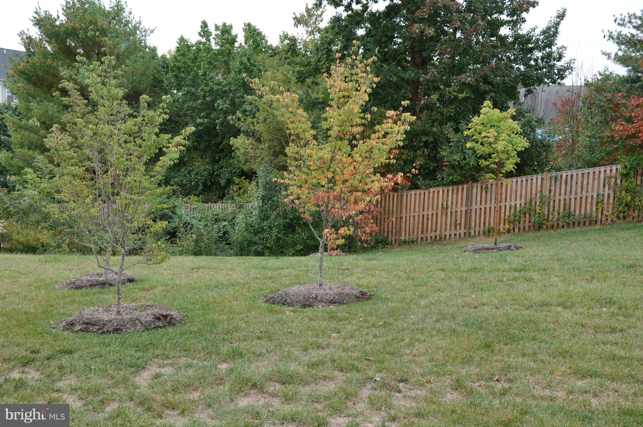 RIVER OAKS-BROOKFIELD CO - Residential