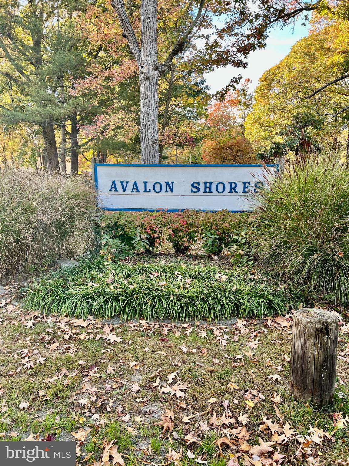 AVALON SHORES - Residential Lease