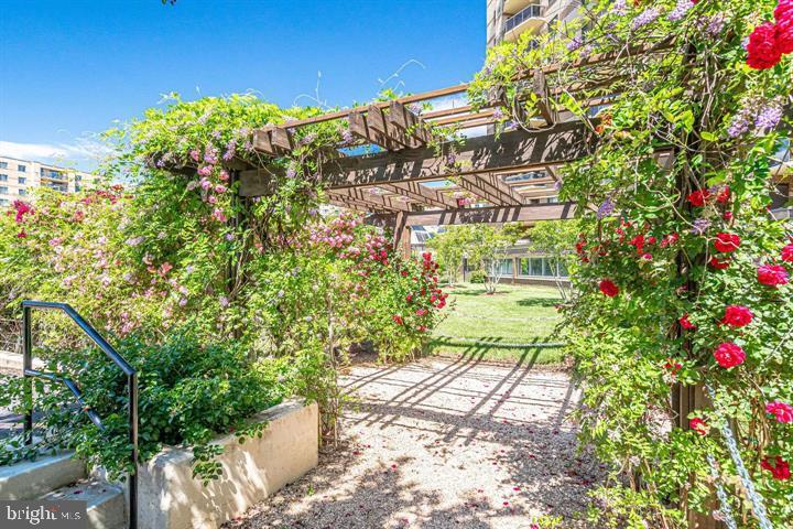 ROTONDA - Residential Lease