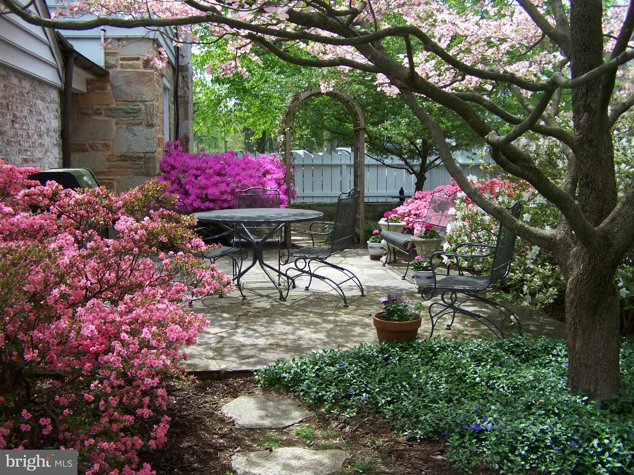 WILTONDALE - Residential