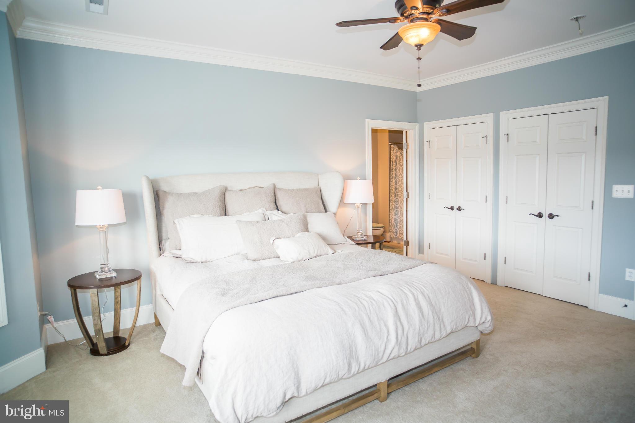 THE PADDOCKS AT DOWDEN DOWNS - Residential