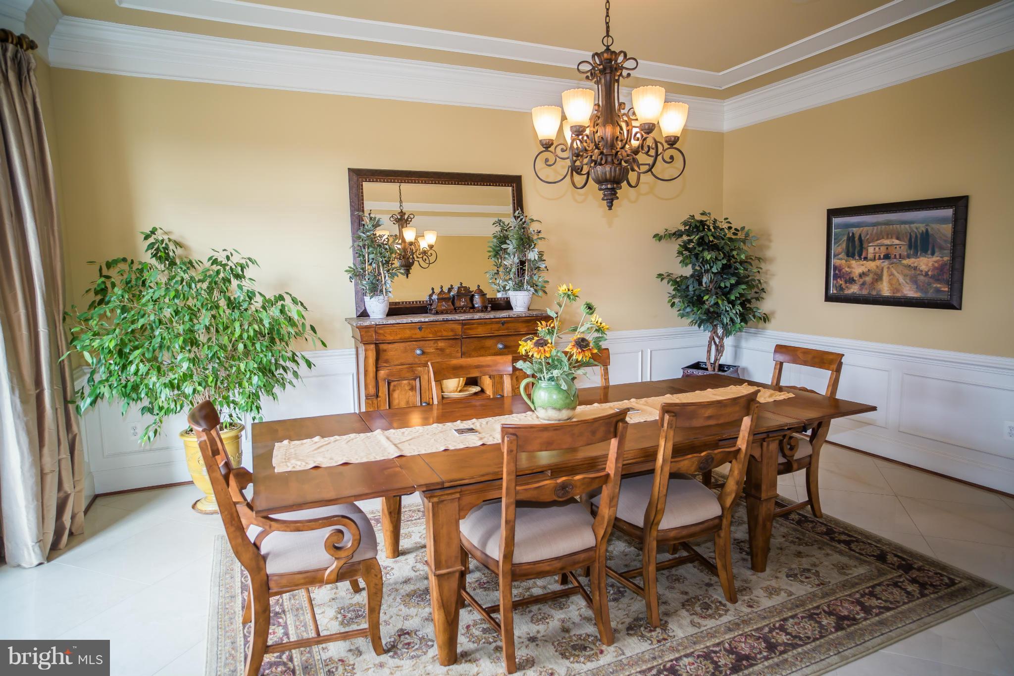 THE PADDOCKS AT DOWDEN DOWNS - Residential