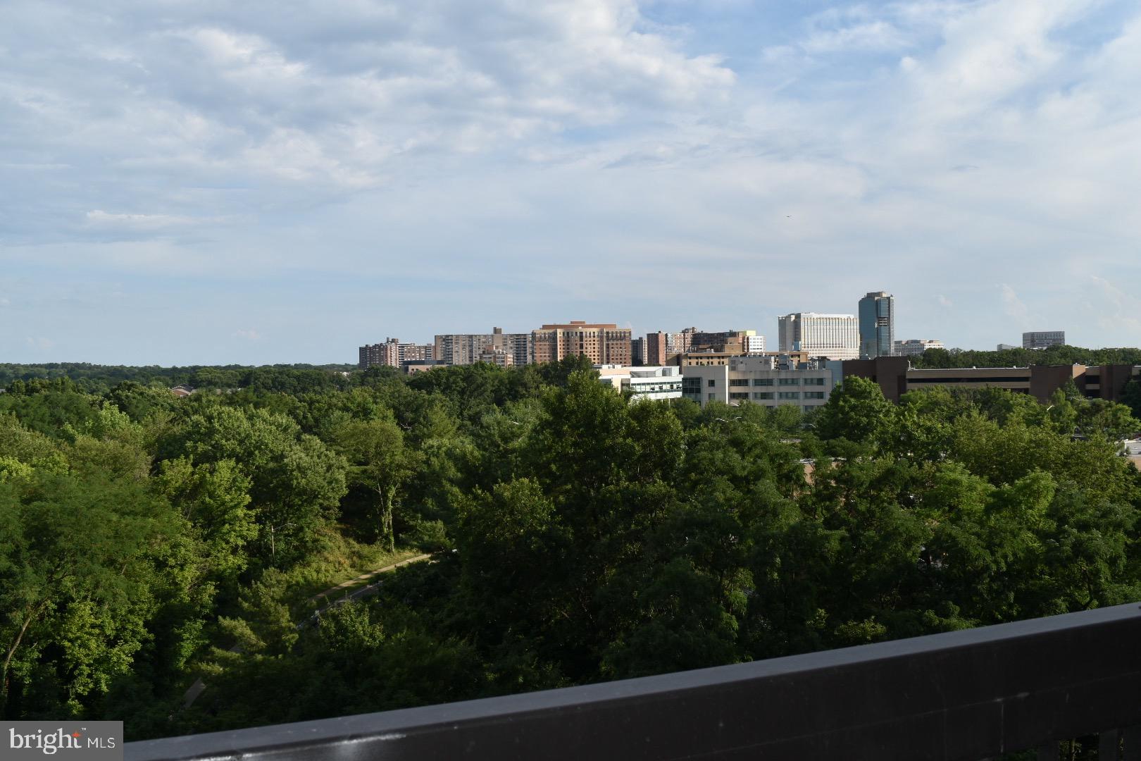 SKYLINE PLAZA - Residential Lease