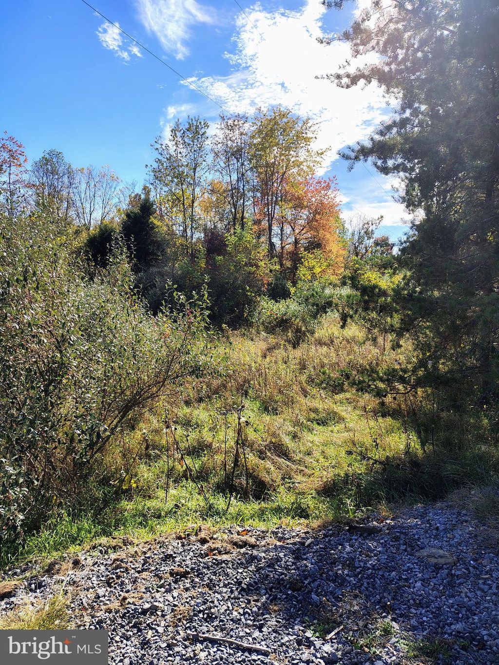 Photo of Amulet Lane, BERKELEY SPRINGS, WV 25411 (MLS # WVMO2006848)