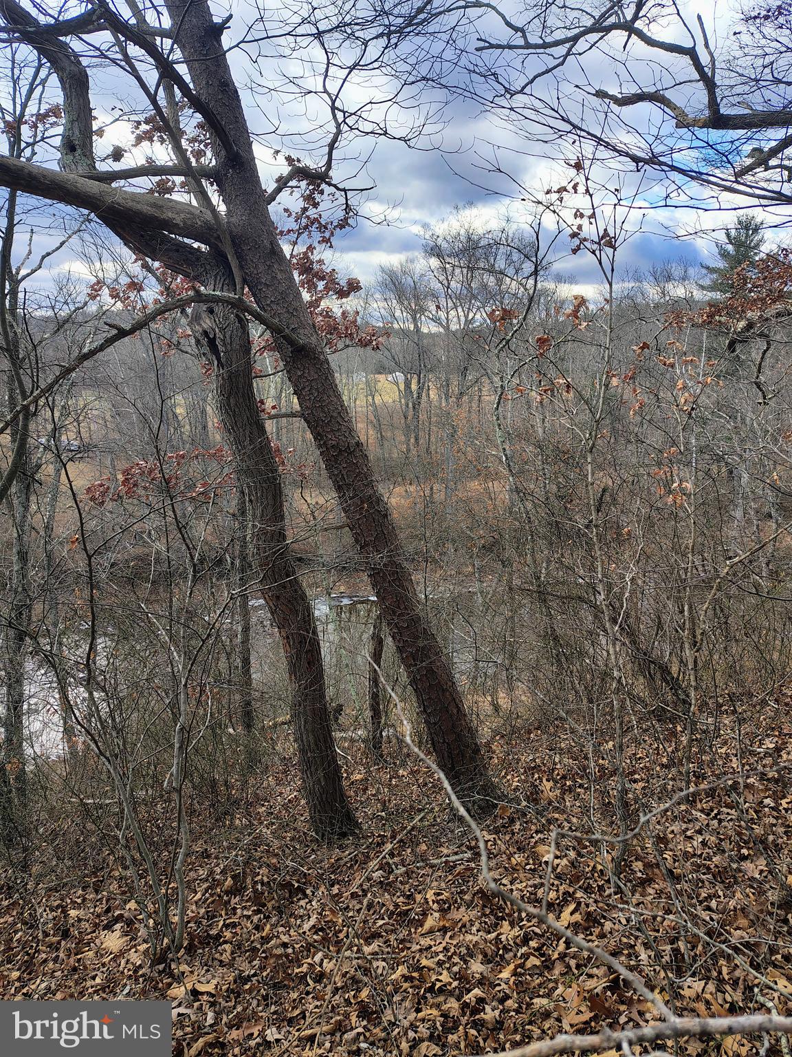 HORSESHOE RUN - Land