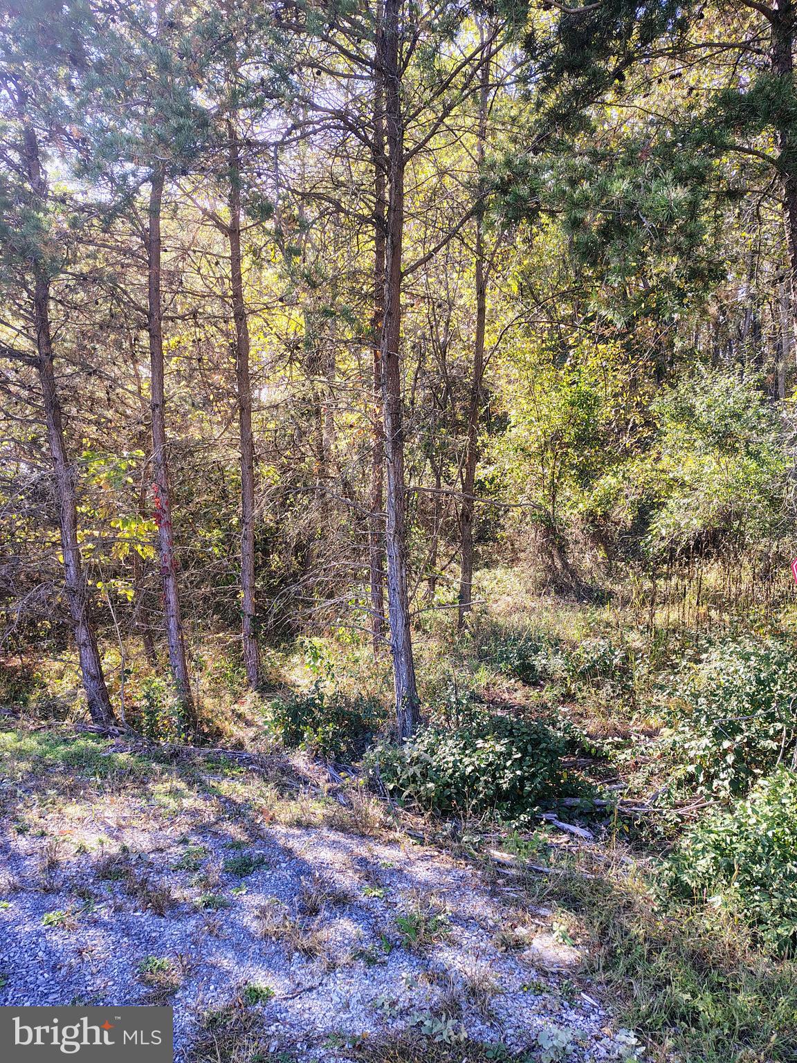 HORSESHOE RUN - Land