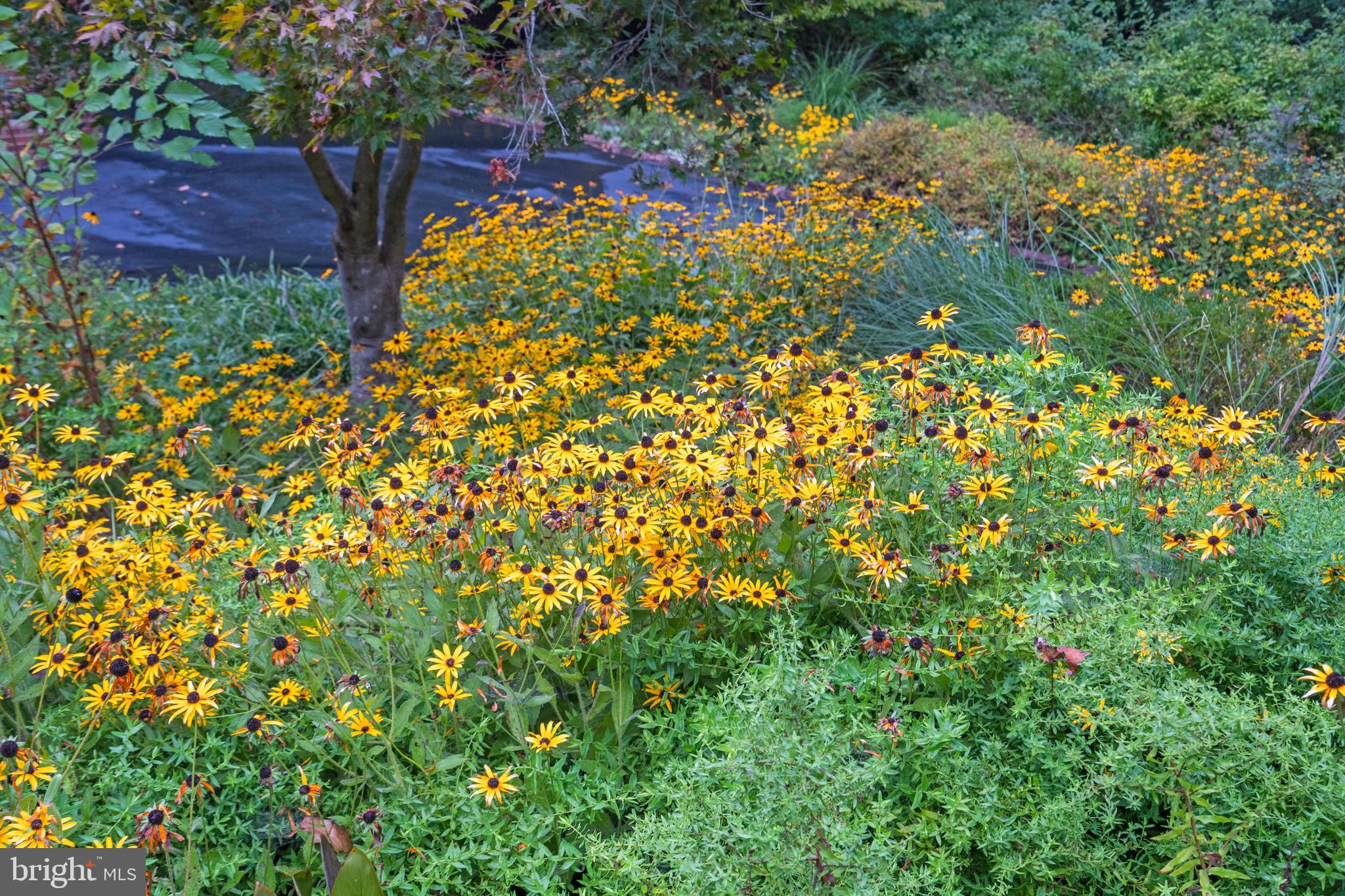 GREAT FALLS - Residential