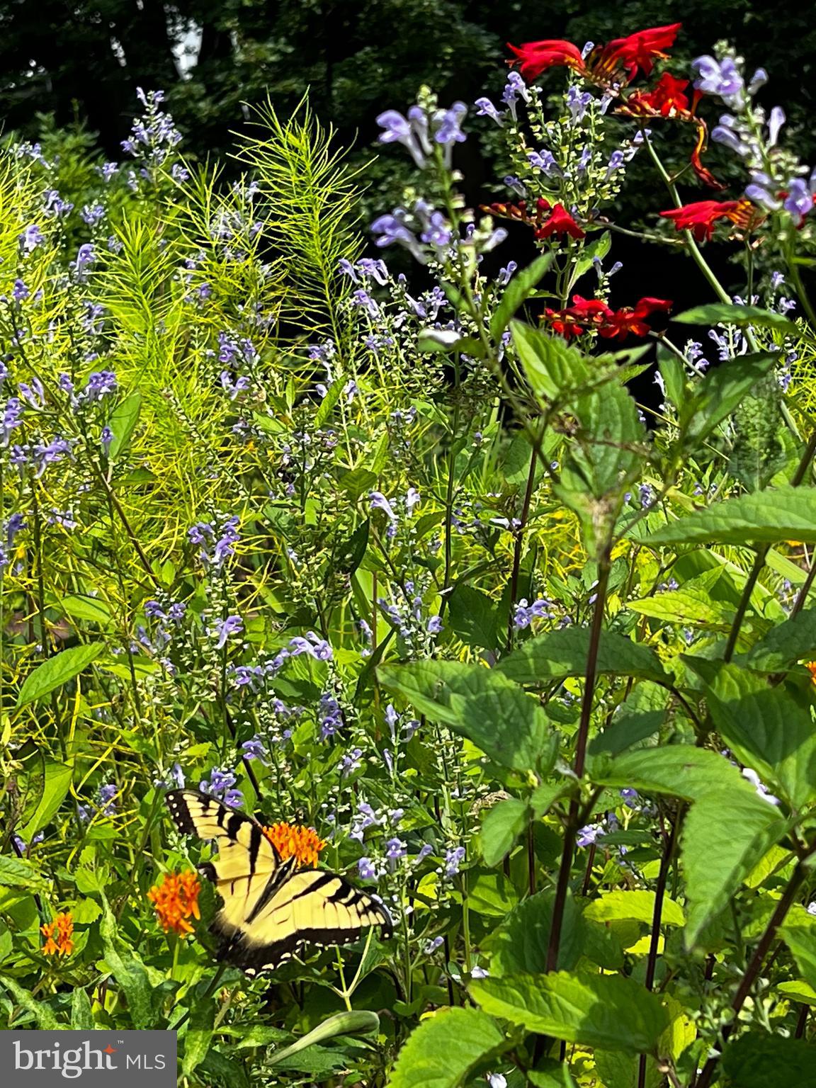 GREAT FALLS - Residential