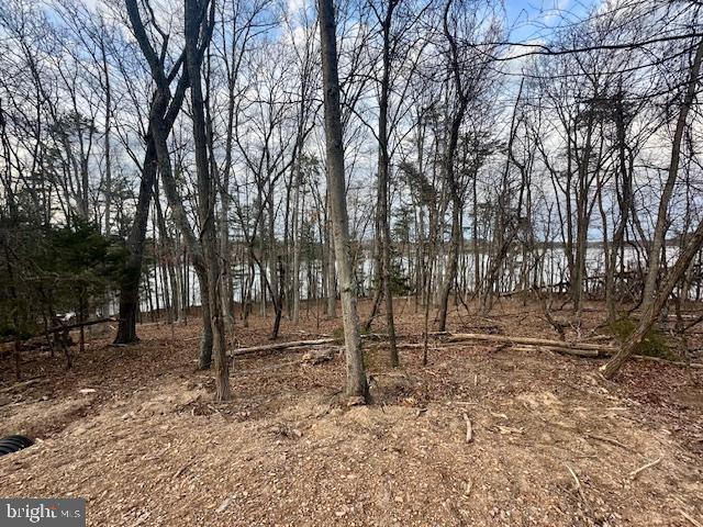 LAKE HOLIDAY ESTATES - Land