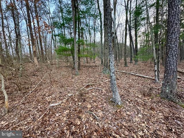 LAKE HOLIDAY ESTATES - Land