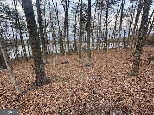 LAKE HOLIDAY ESTATES - Land