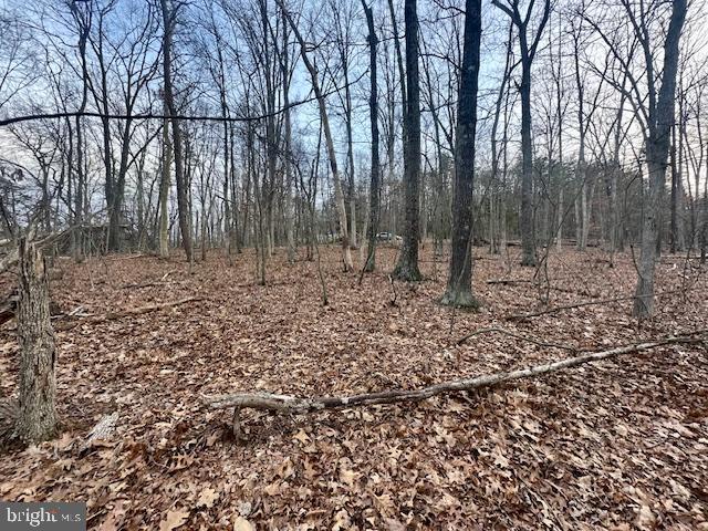 LAKE HOLIDAY ESTATES - Land