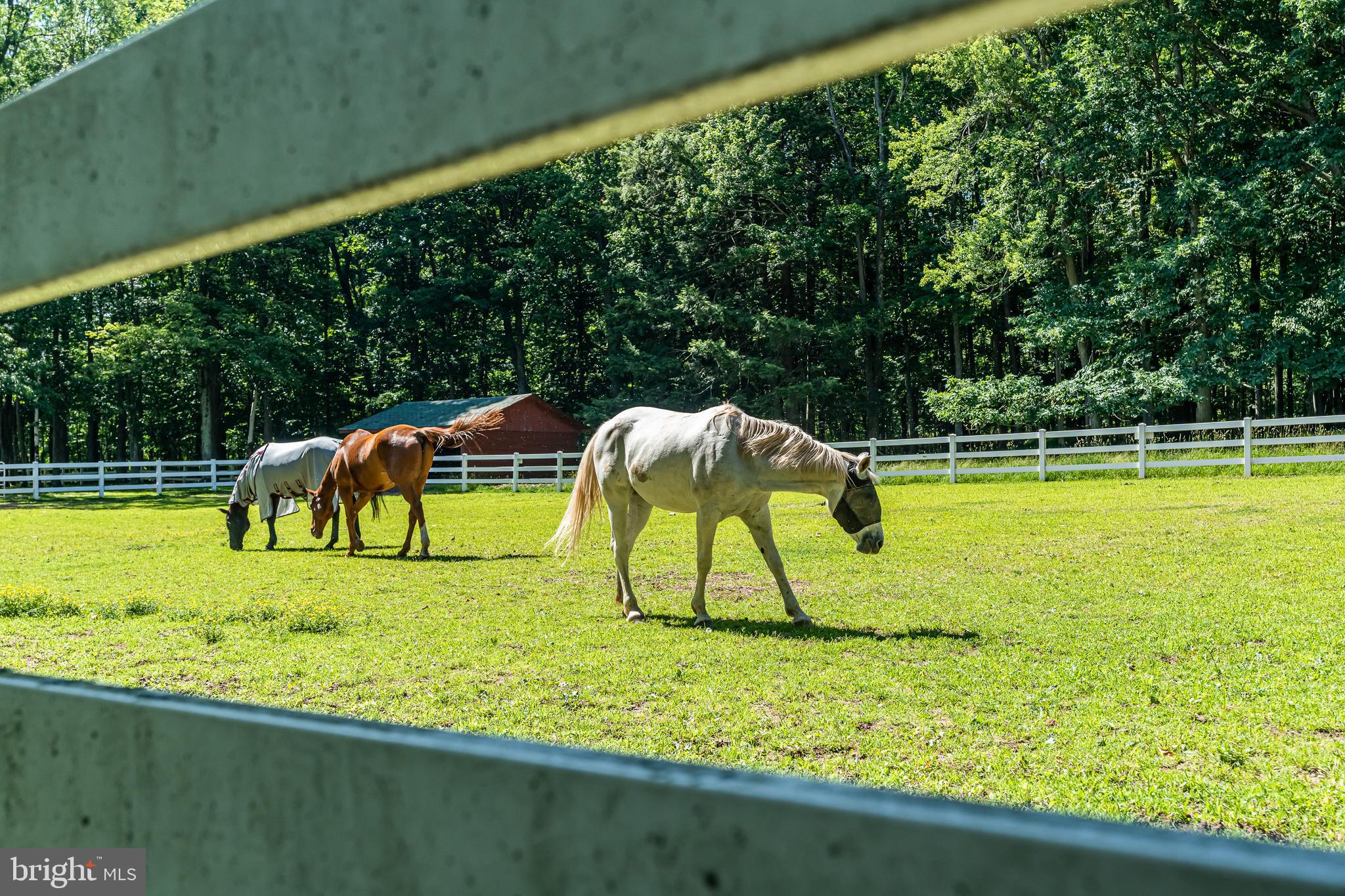 EAGLE ROCK RESORT - Residential