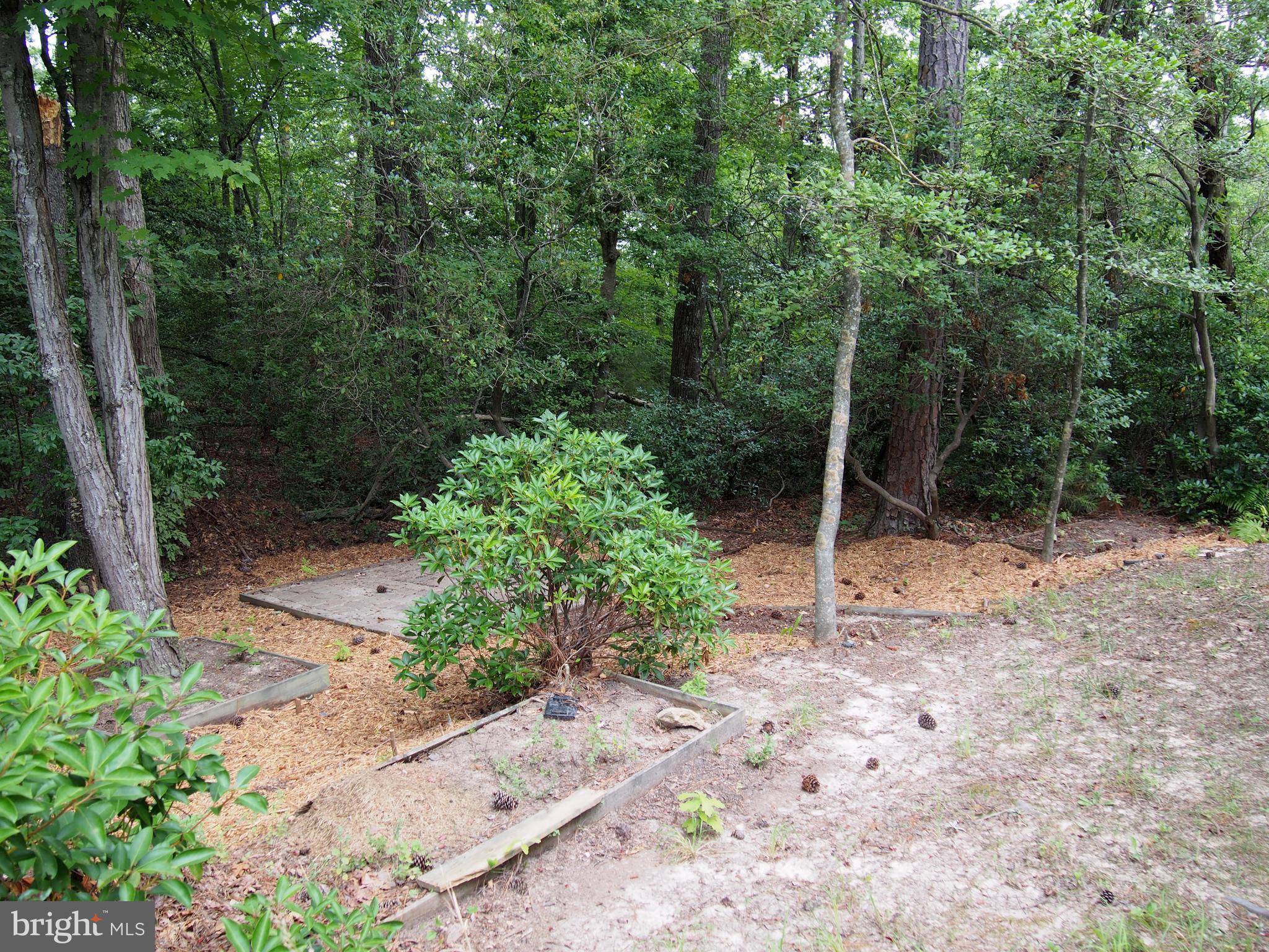 DAHLIA PARK OF WILDEWOOD - Residential Lease