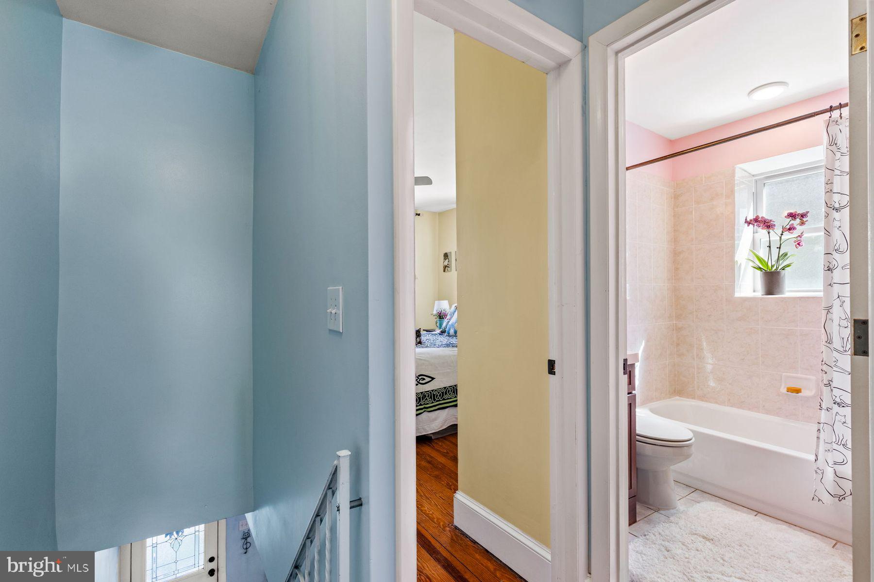 CHESTNUT HILL - Residential