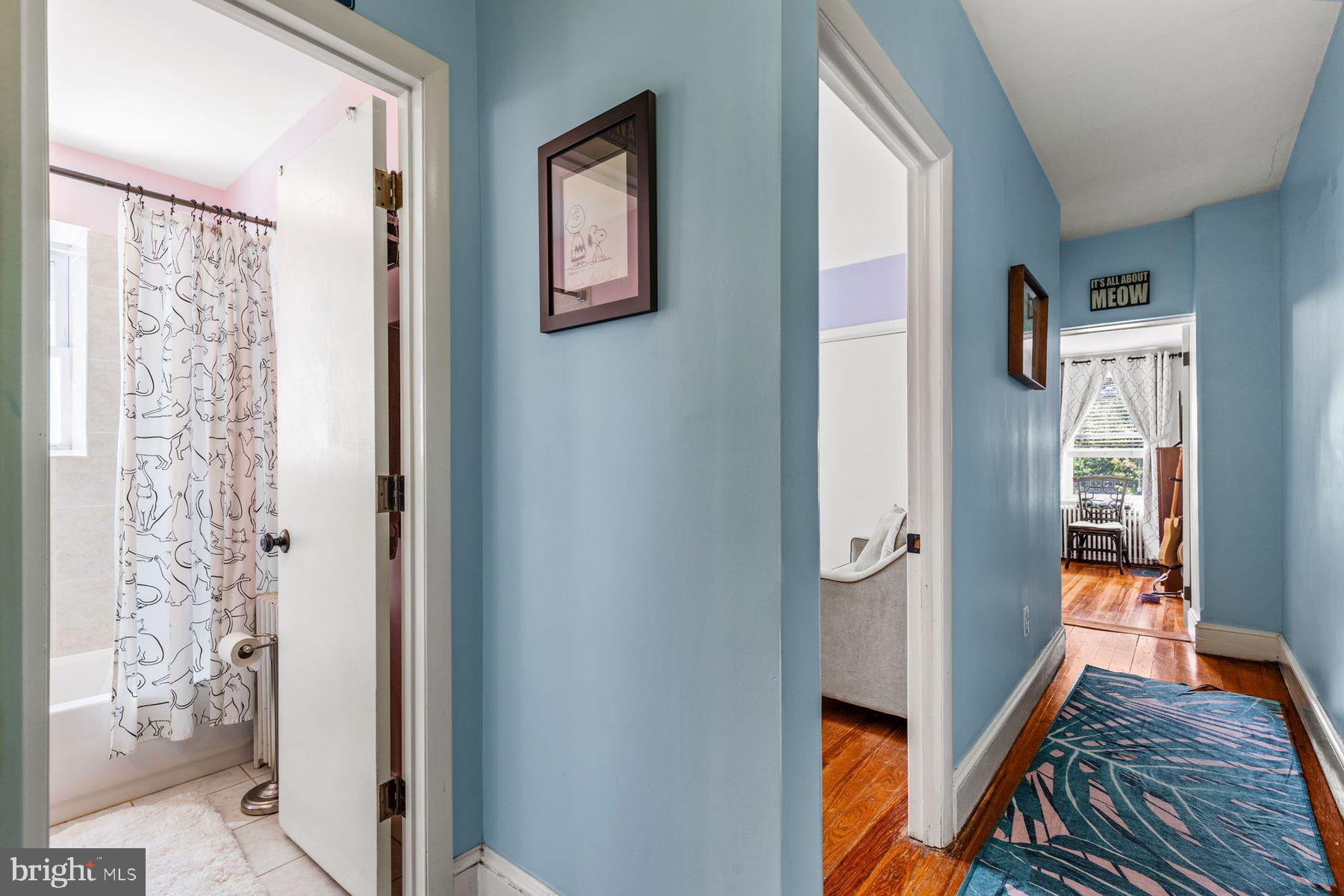 CHESTNUT HILL - Residential