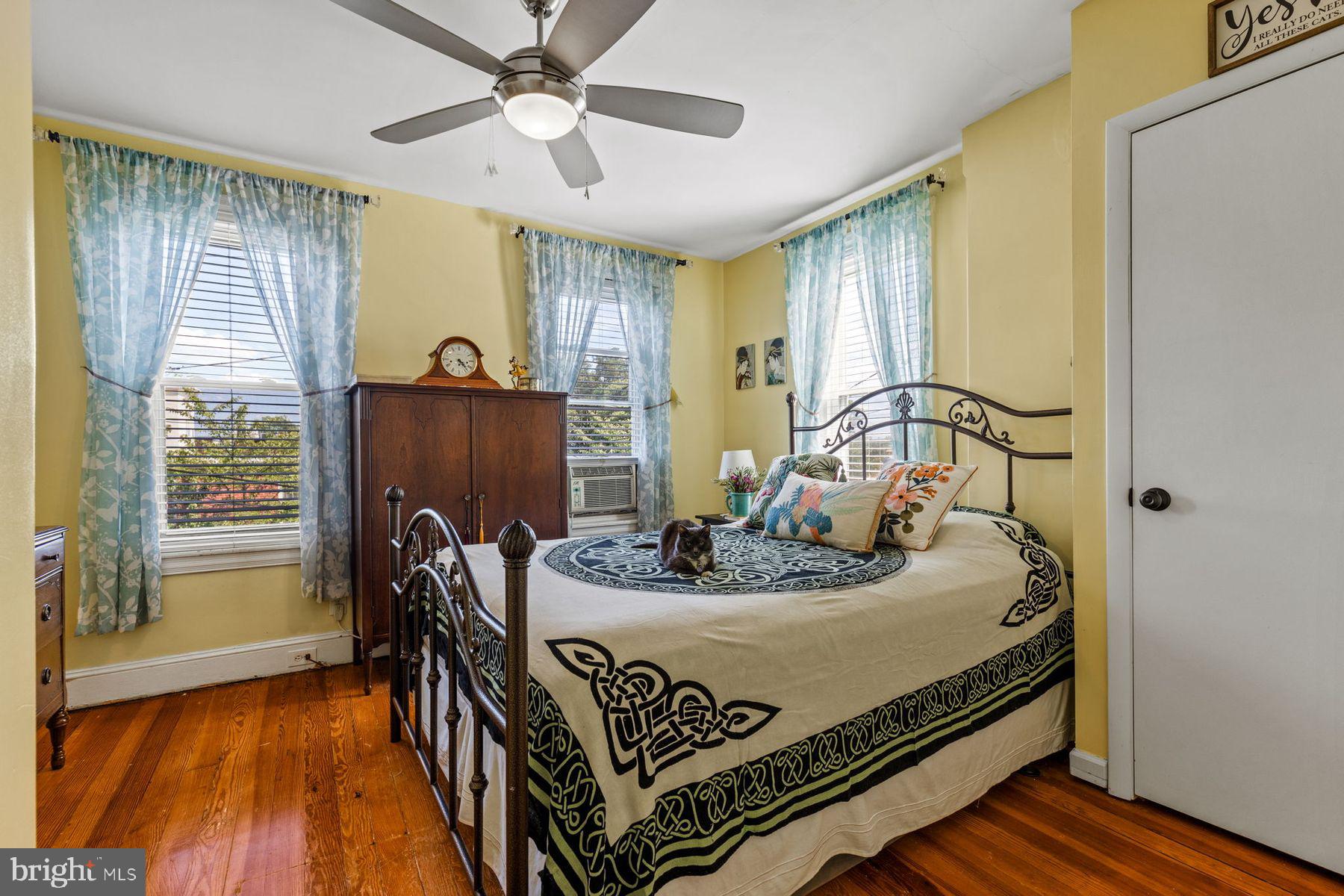 CHESTNUT HILL - Residential