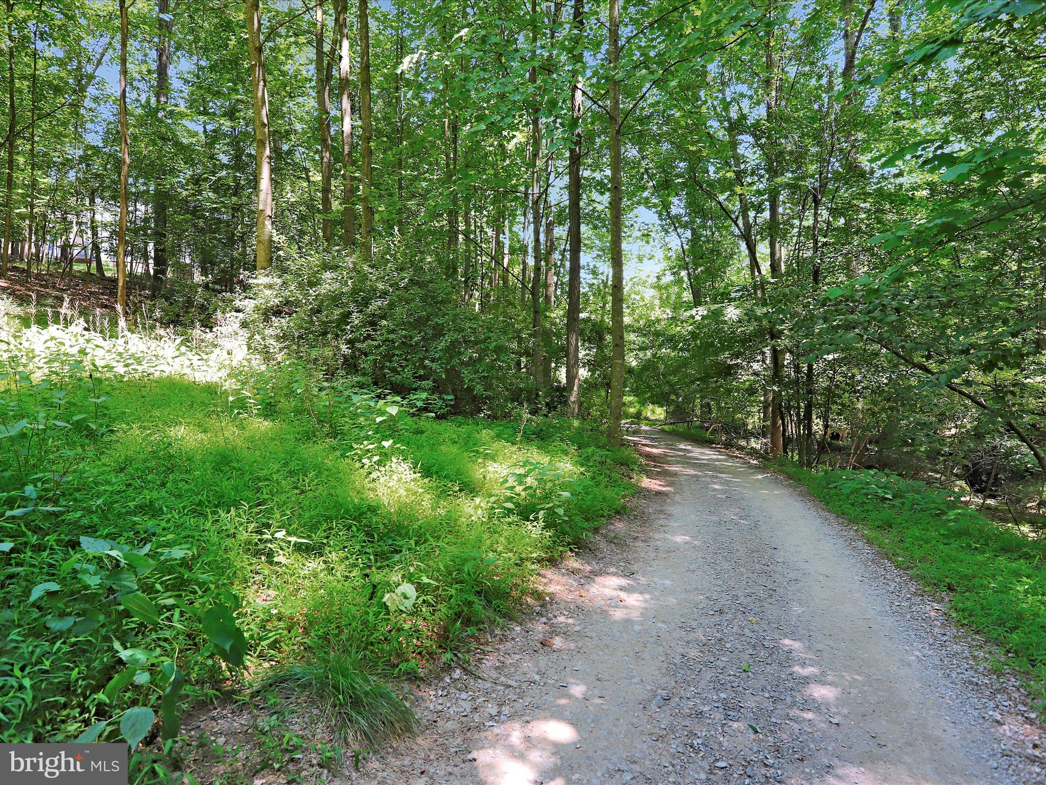 LAKE LINGANORE TOWN CENTER - Residential