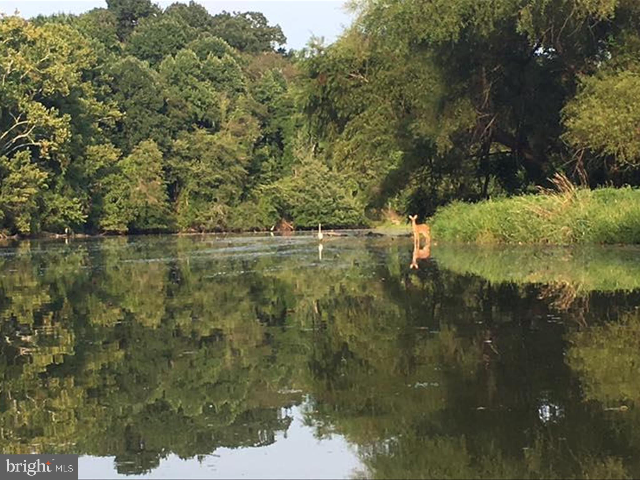 LAKE LINGANORE TOWN CENTER - Residential