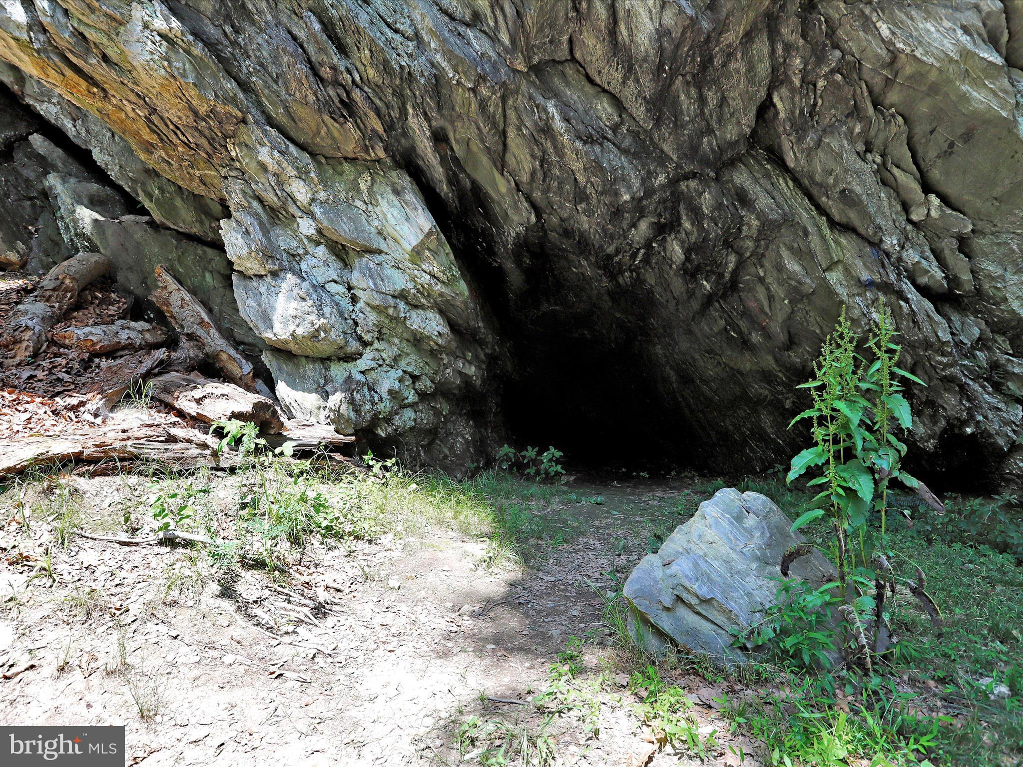 LAKE LINGANORE TOWN CENTER - Residential