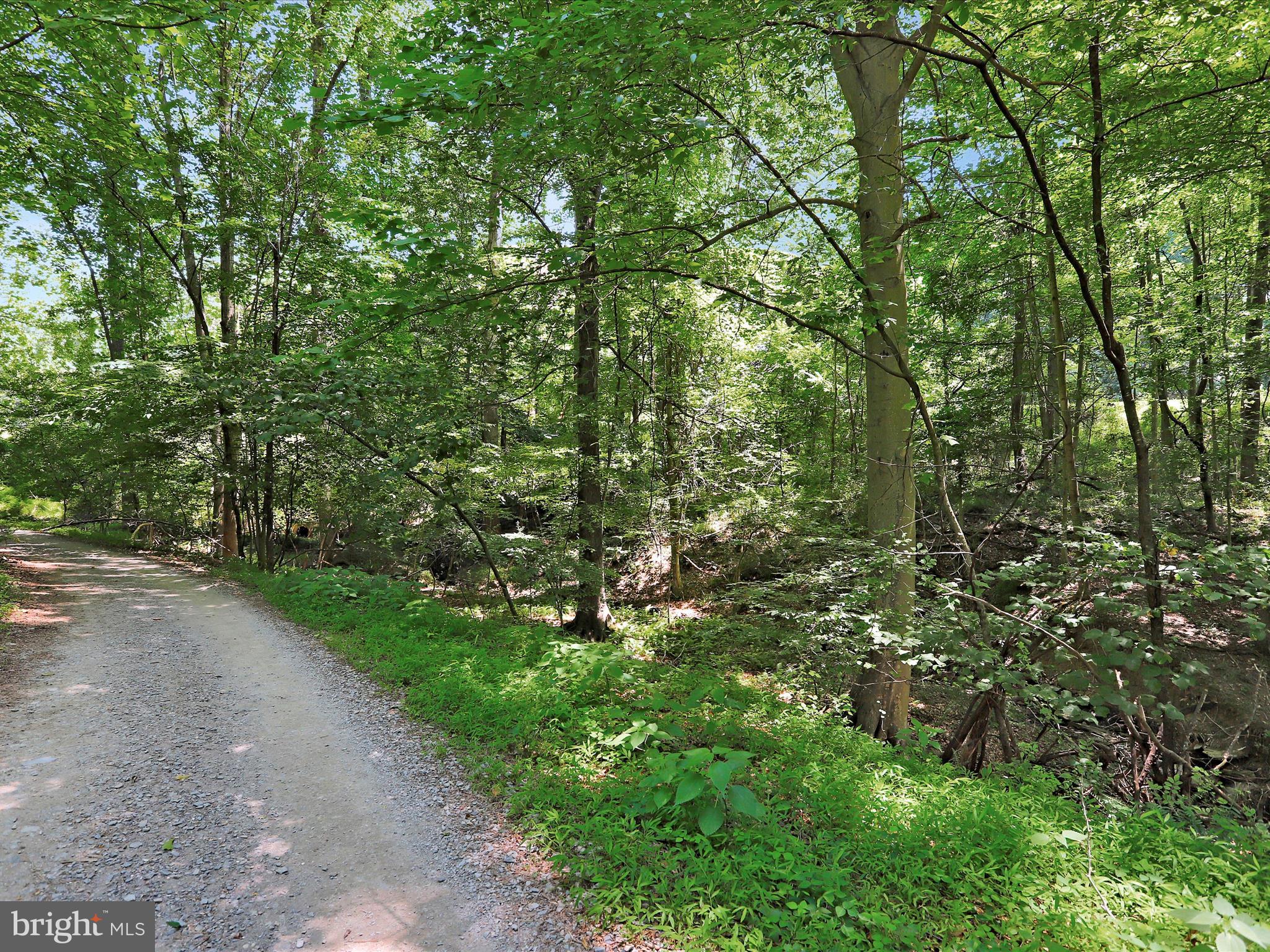 LAKE LINGANORE TOWN CENTER - Residential