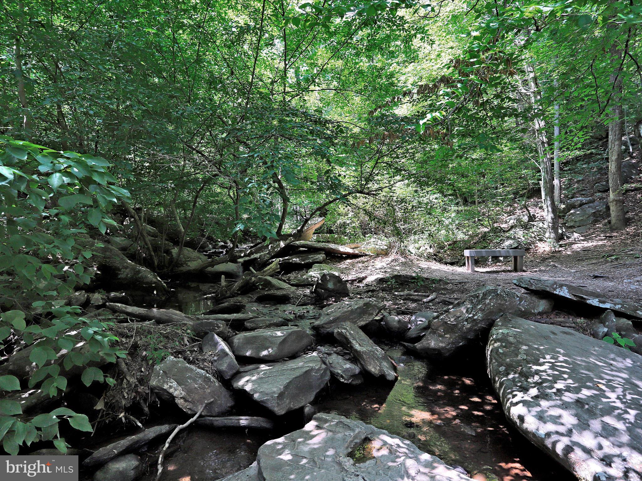 LAKE LINGANORE TOWN CENTER - Residential