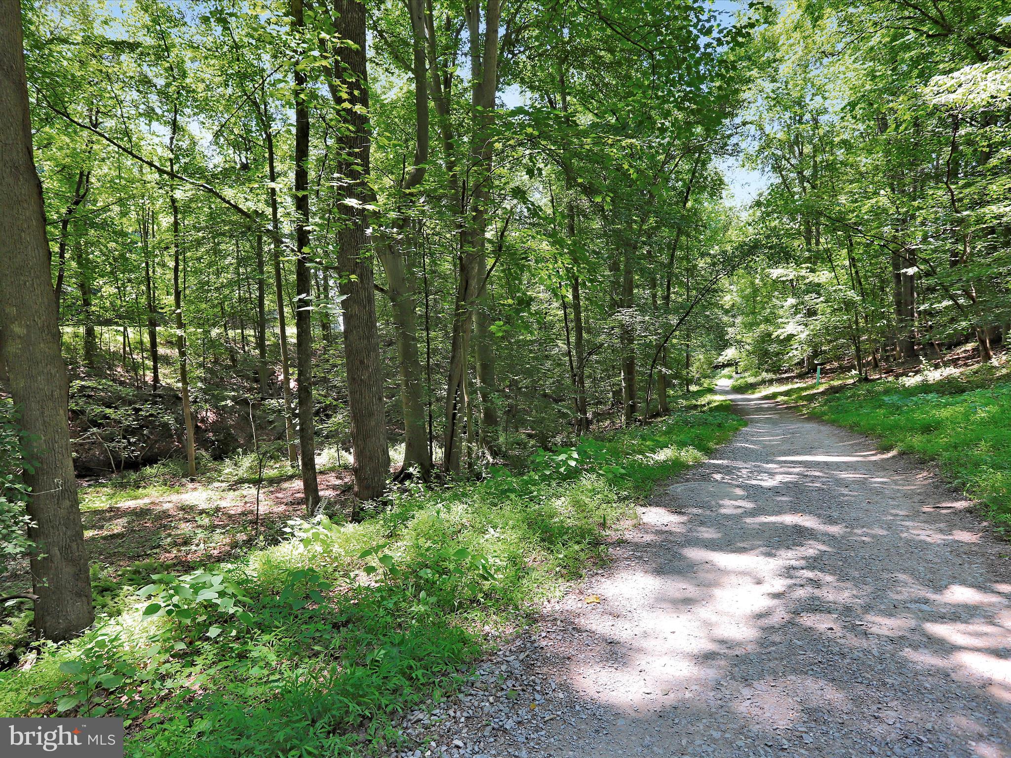 LAKE LINGANORE TOWN CENTER - Residential