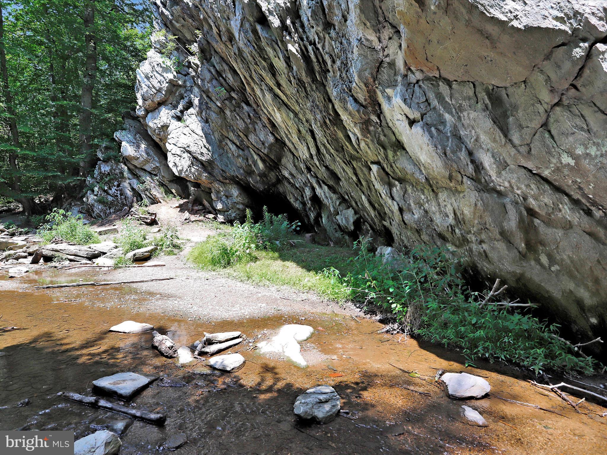 LAKE LINGANORE TOWN CENTER - Residential