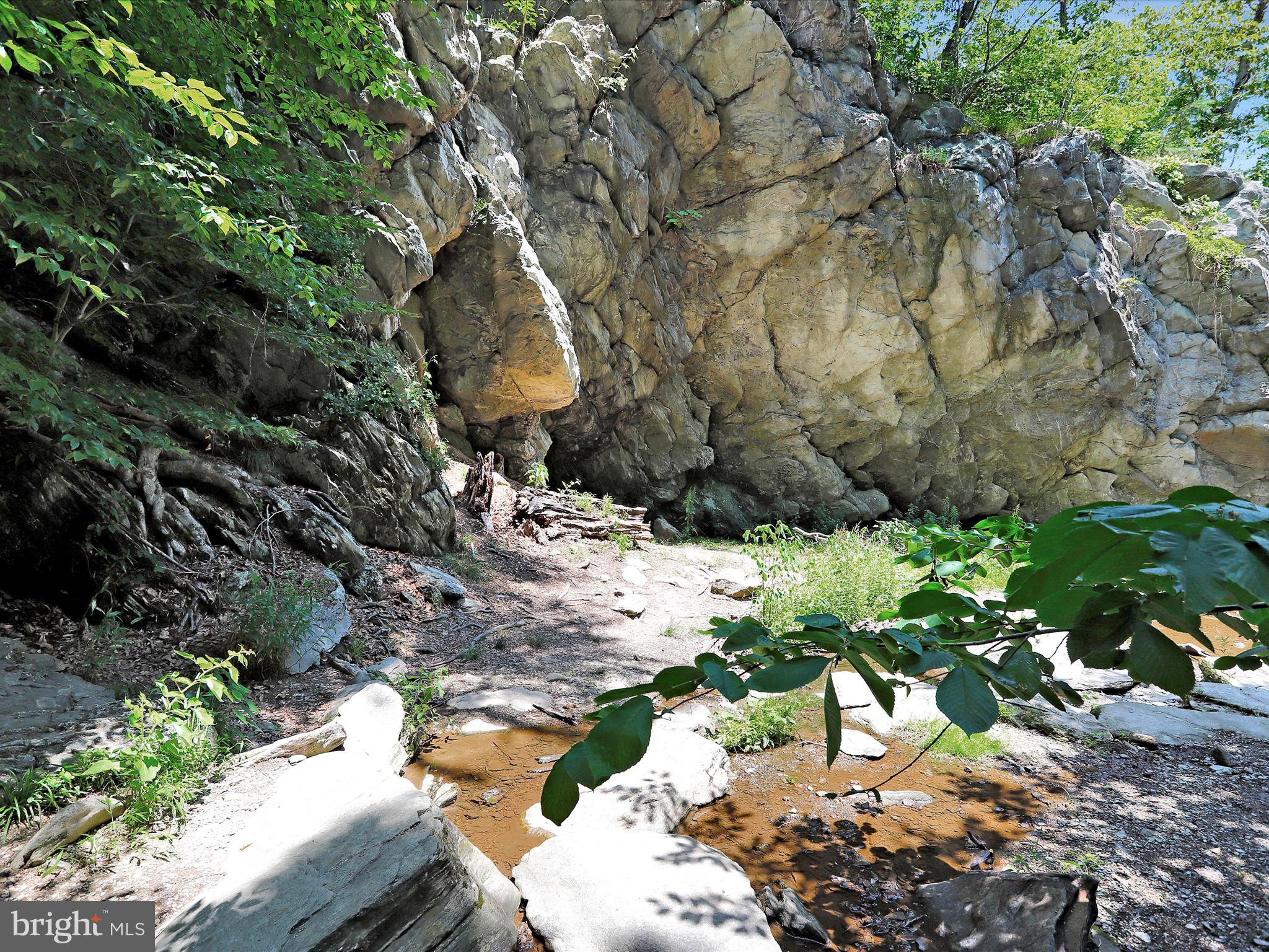 LAKE LINGANORE TOWN CENTER - Residential