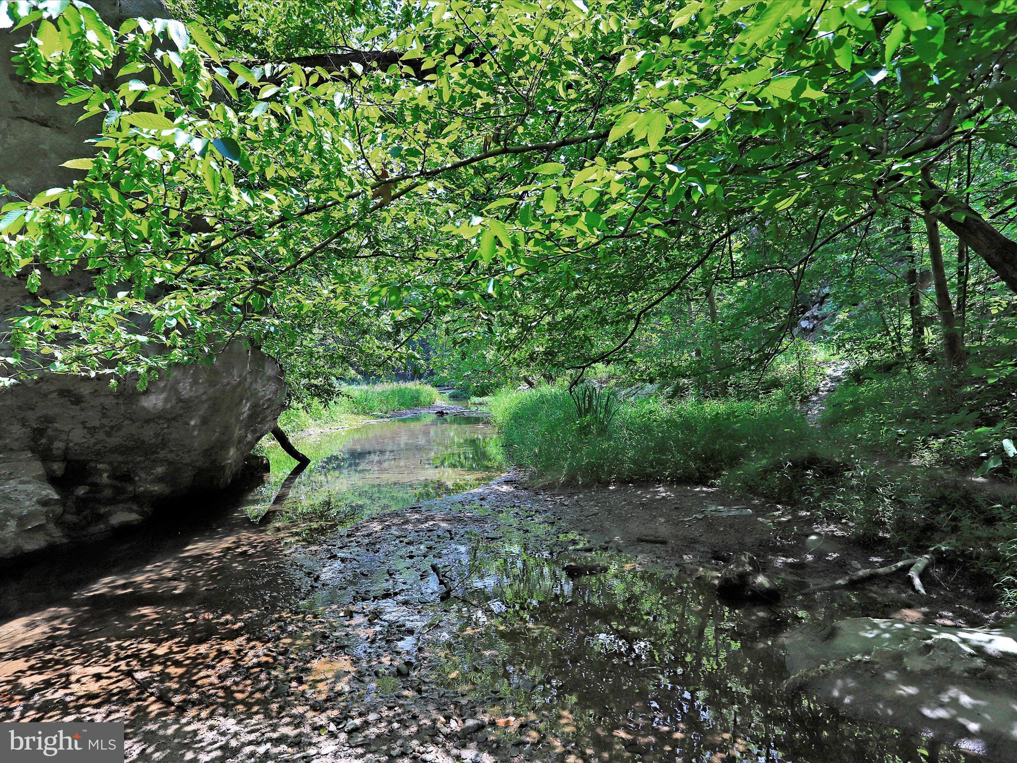 LAKE LINGANORE TOWN CENTER - Residential
