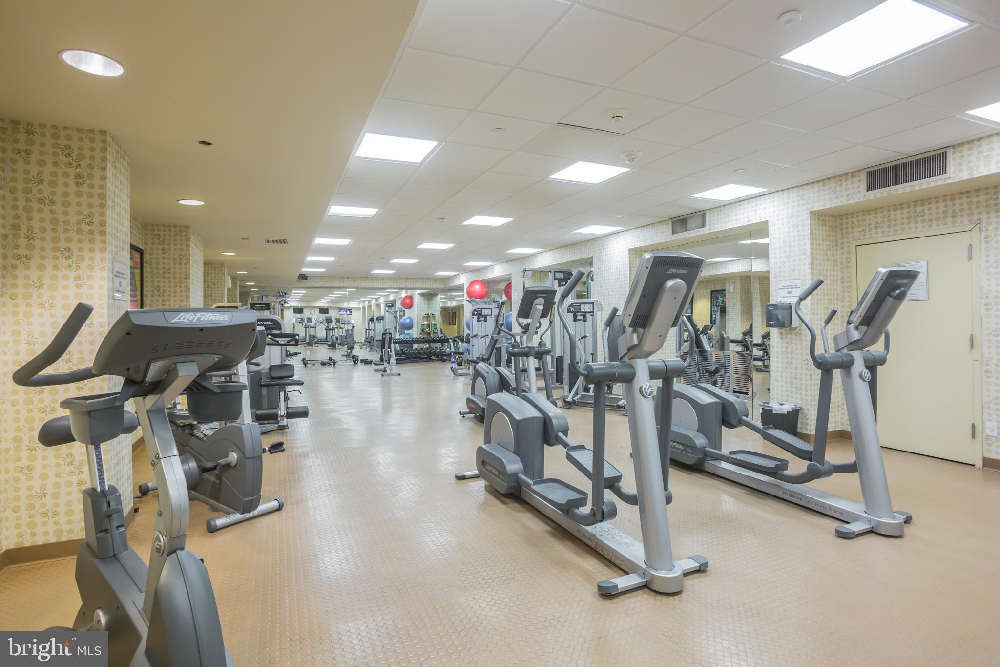 ART MUSEUM AREA - Residential Lease