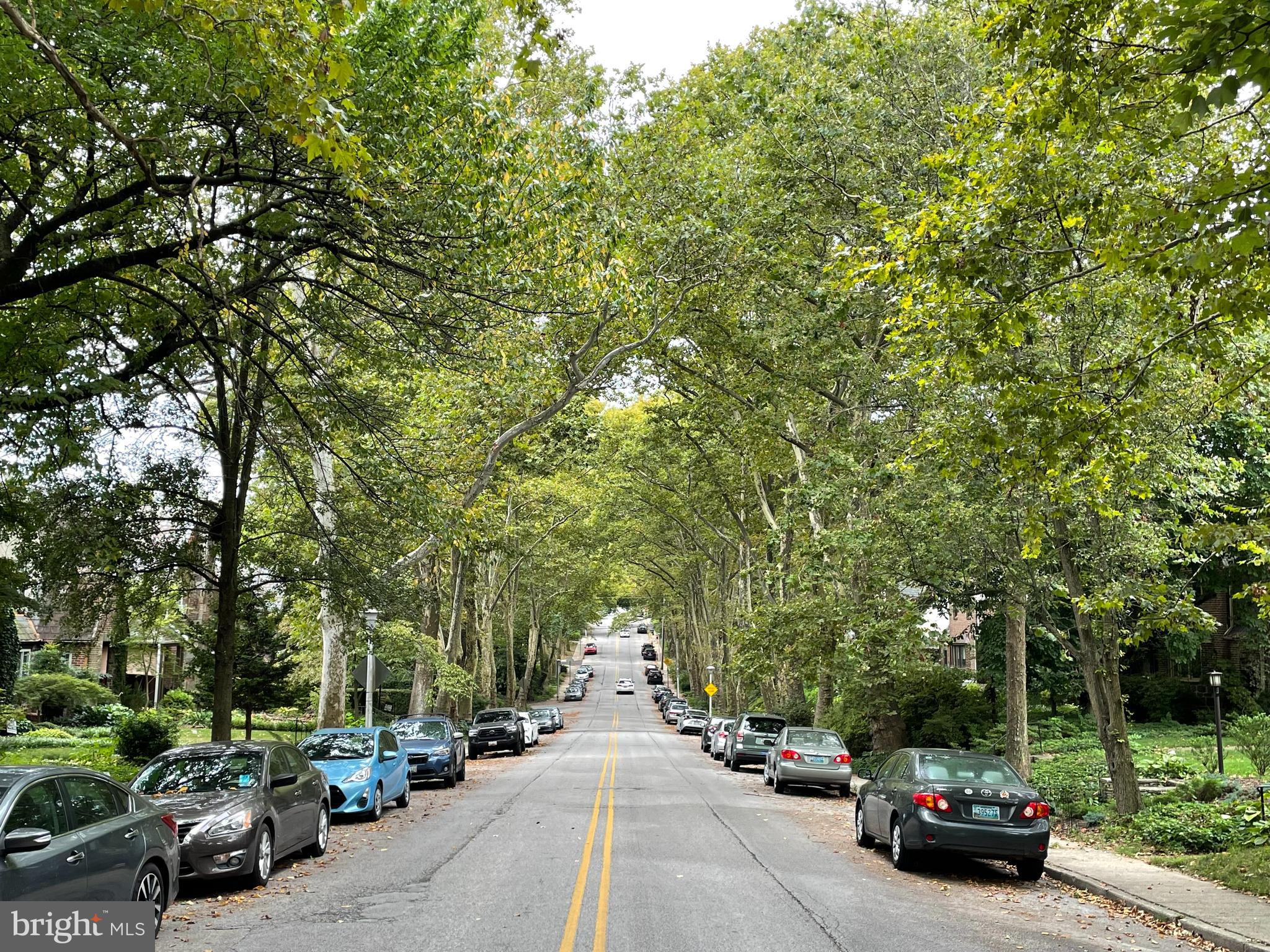 LAKE WALKER - Residential