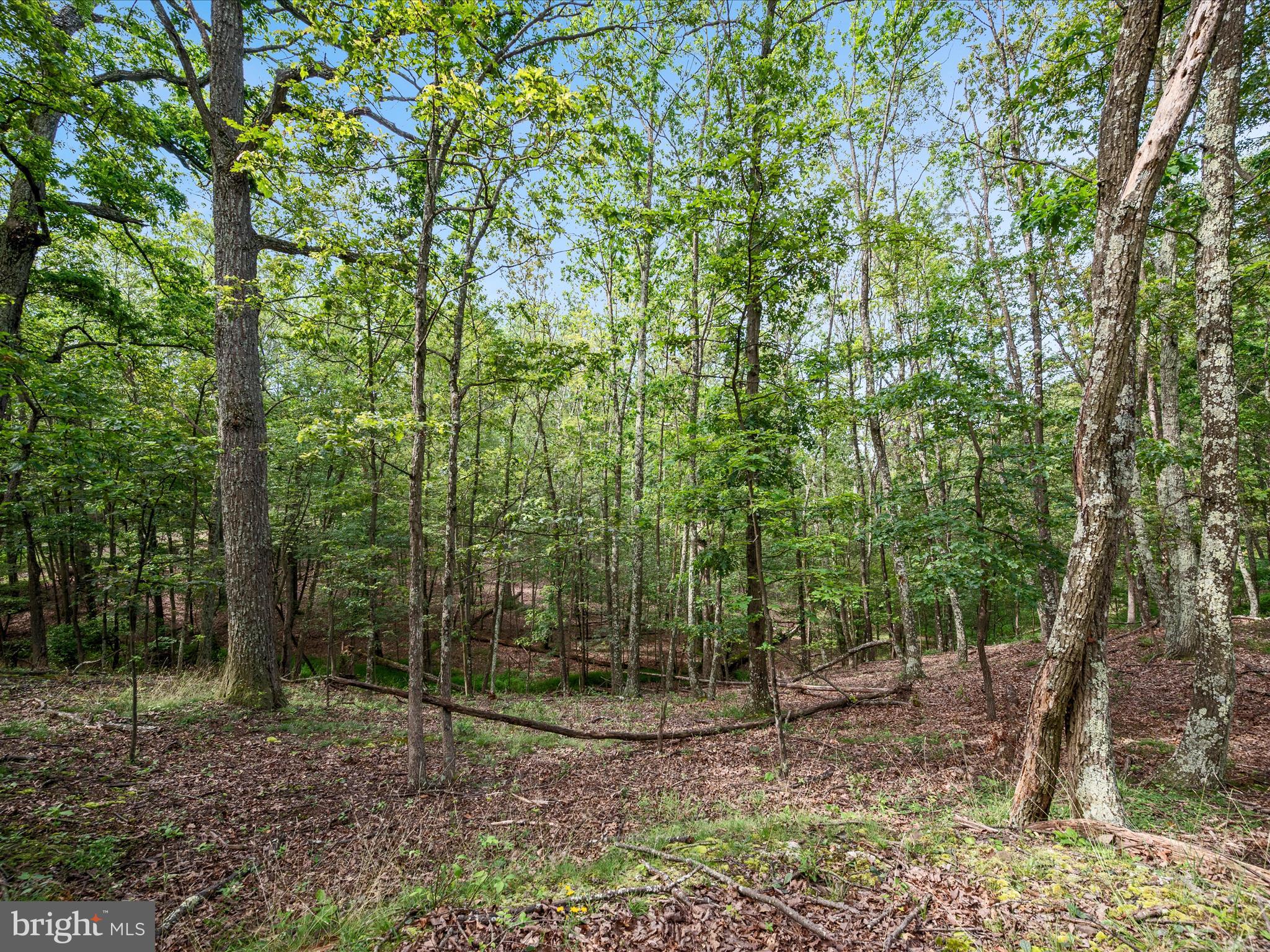 VALLEY HIGH TIMBER FARMS - Land