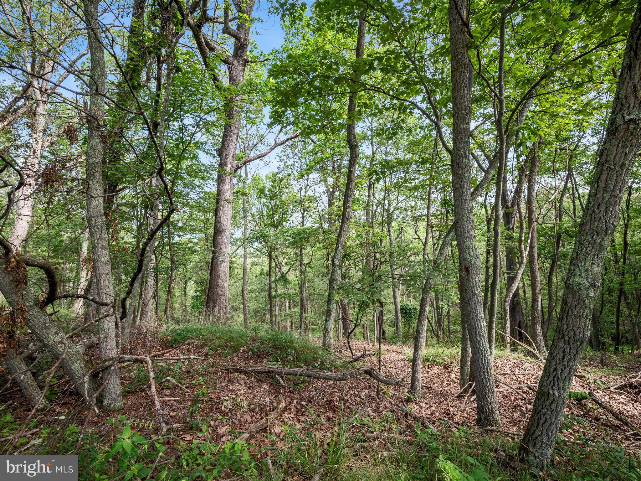 VALLEY HIGH TIMBER FARMS - Land