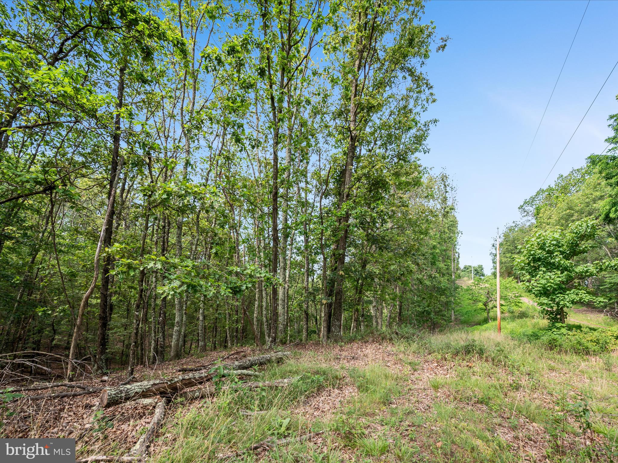 VALLEY HIGH TIMBER FARMS - Land