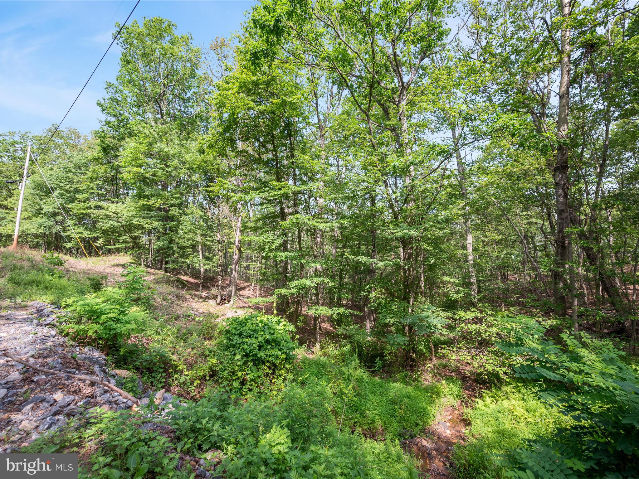 VALLEY HIGH TIMBER FARMS - Land