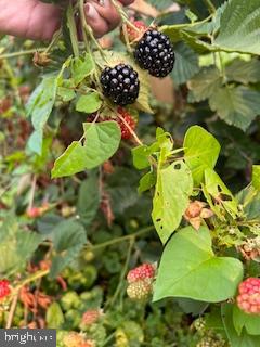 GLEN E RUSSELL - Residential