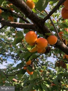 GLEN E RUSSELL - Residential