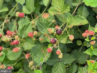 GLEN E RUSSELL - Residential