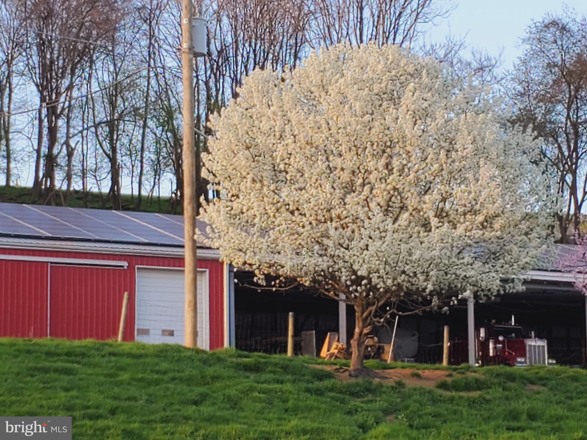 MANOR TWP - Farm