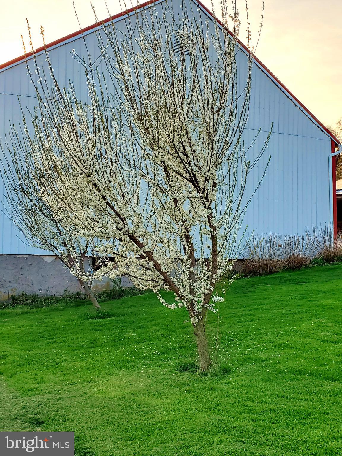 MANOR TWP - Farm