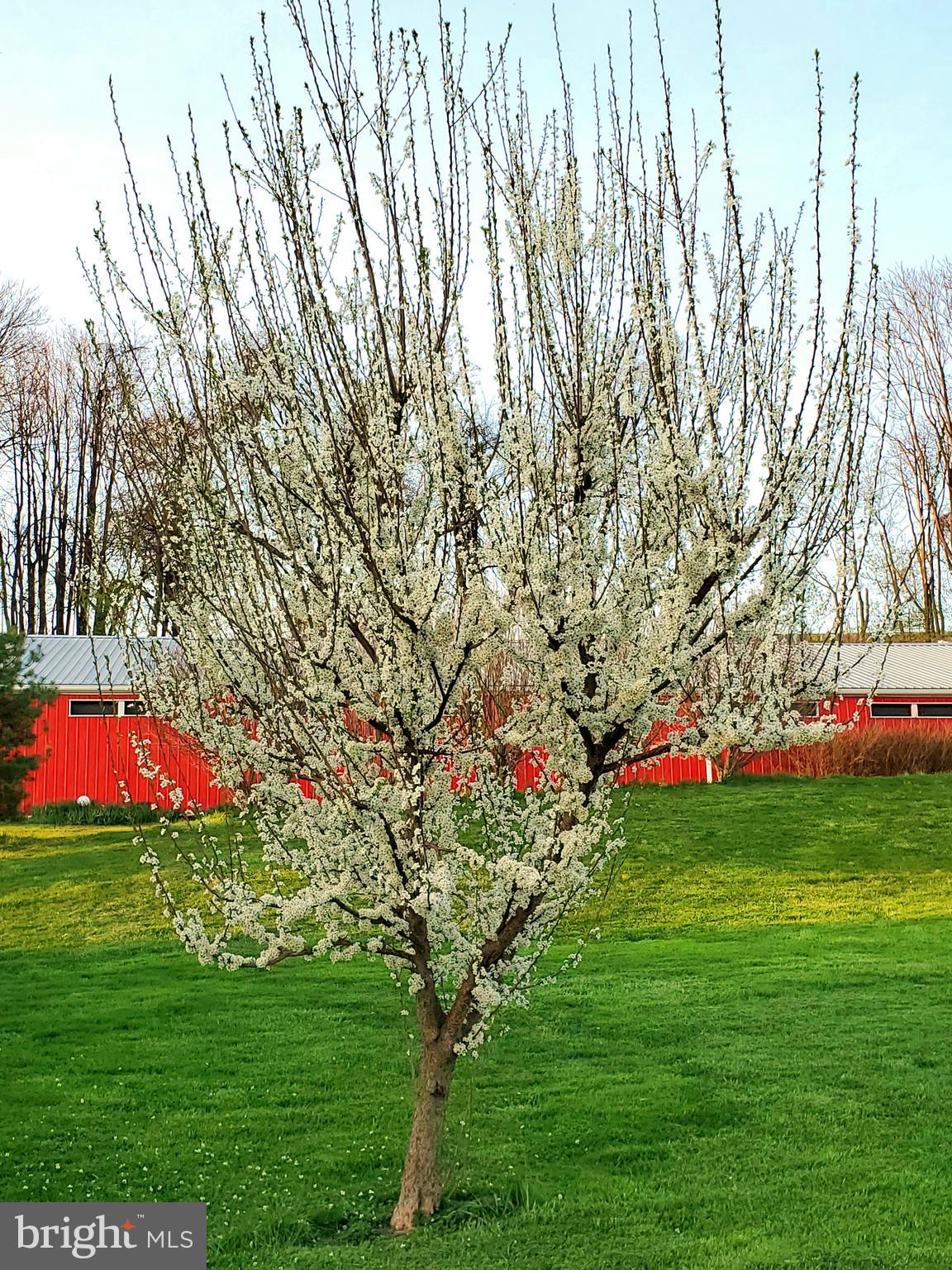 MANOR TWP - Farm