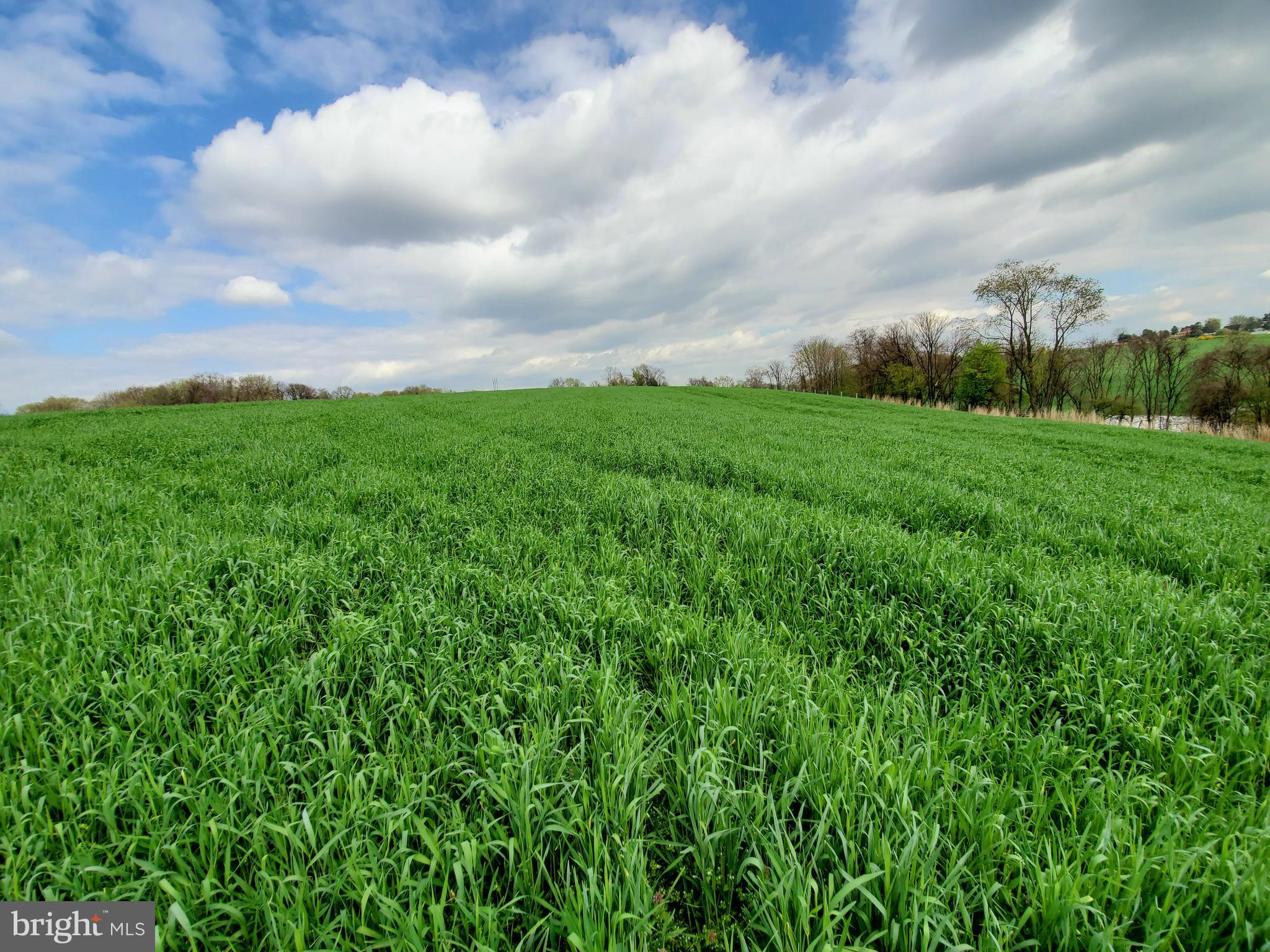 MANOR TWP - Farm