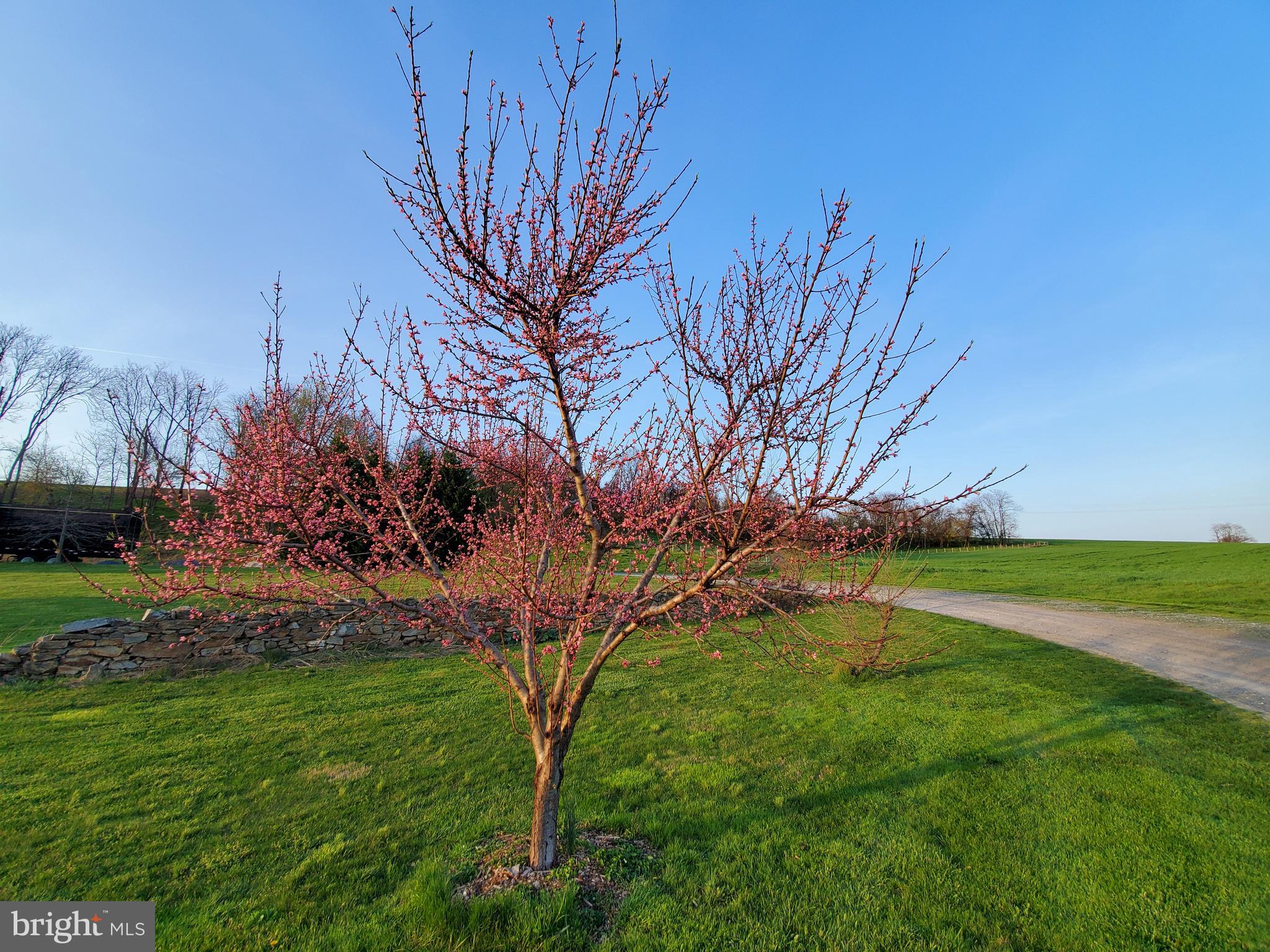 MANOR TWP - Farm