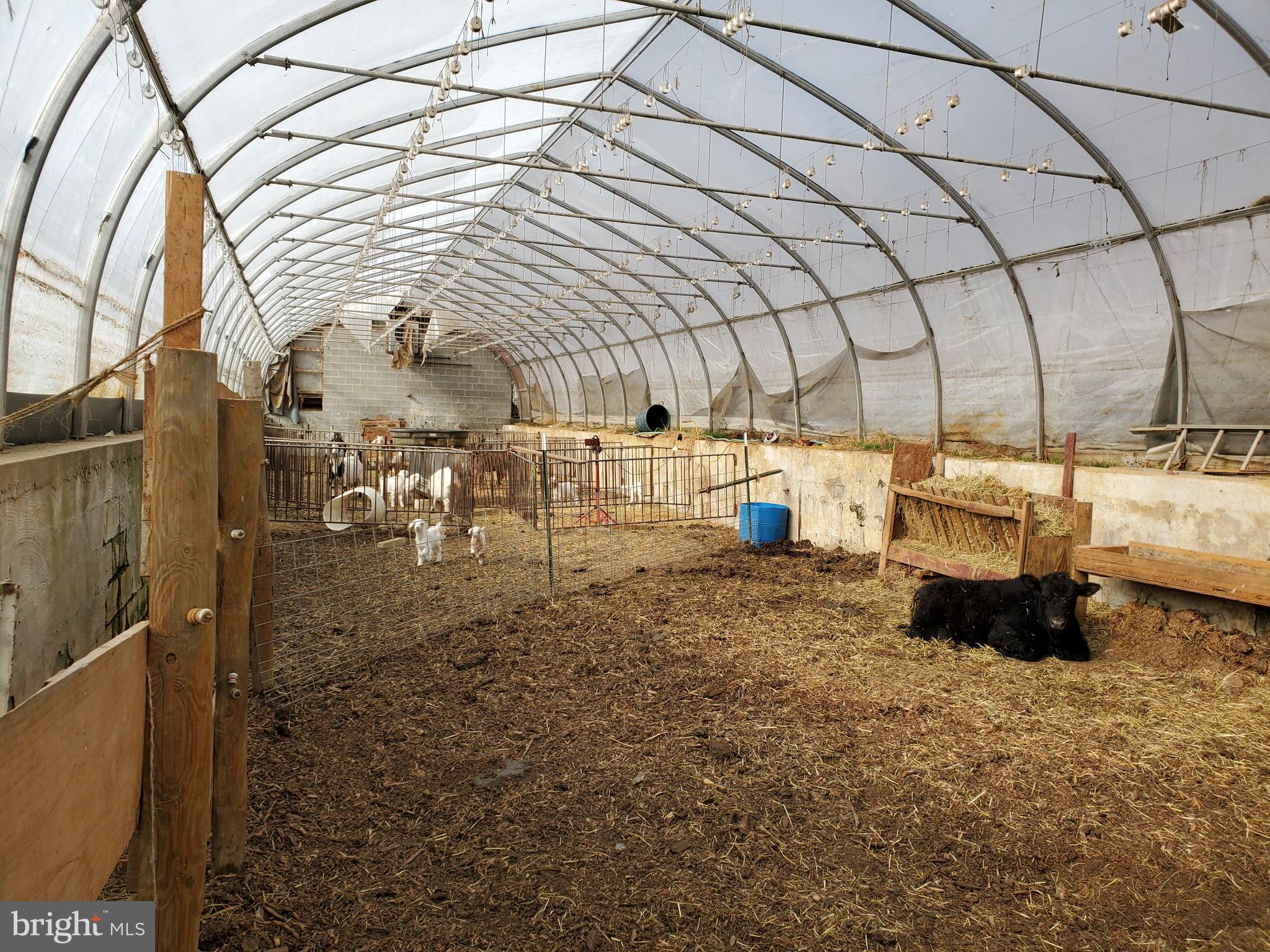 MANOR TWP - Farm