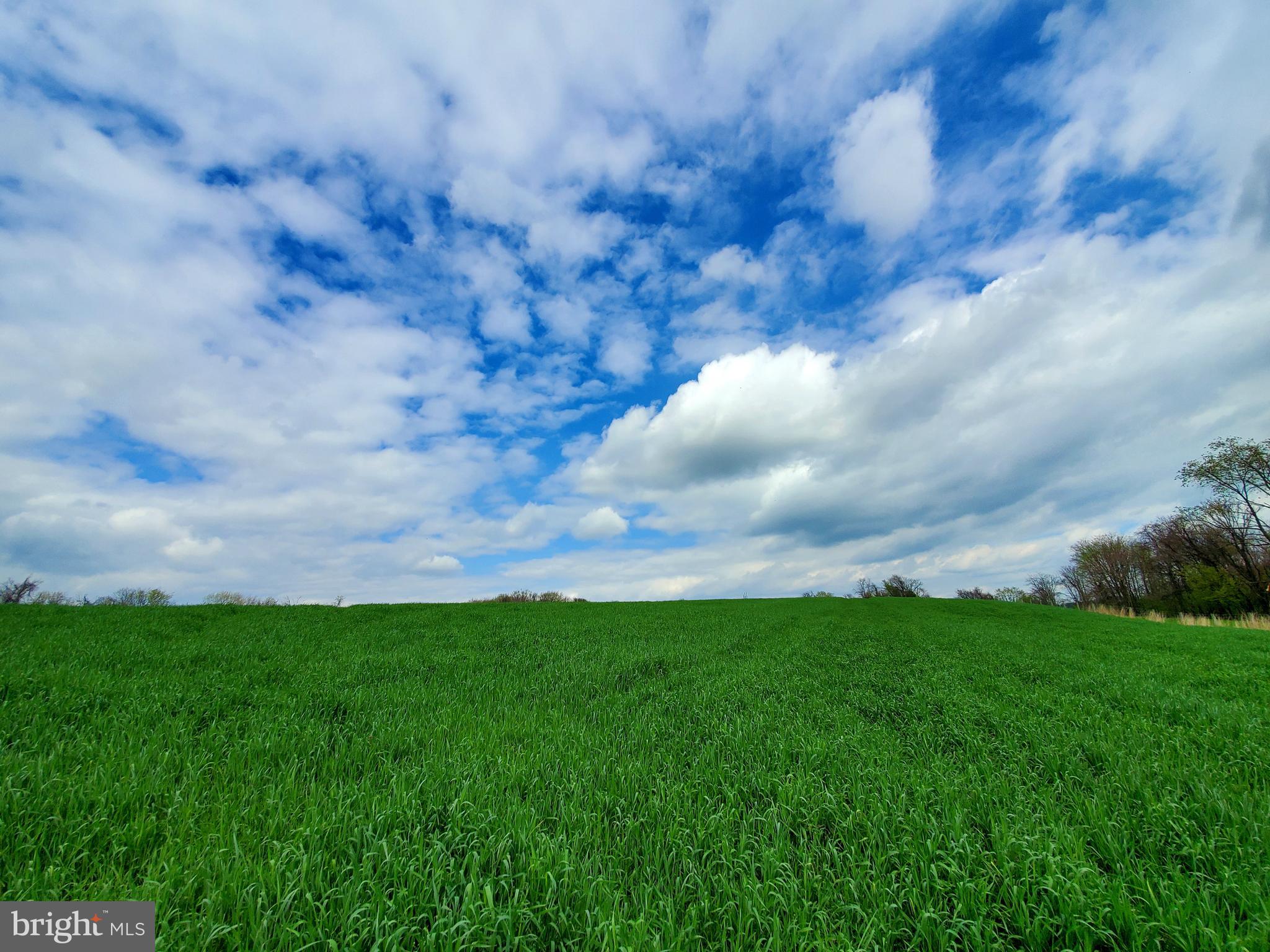 MANOR TWP - Farm