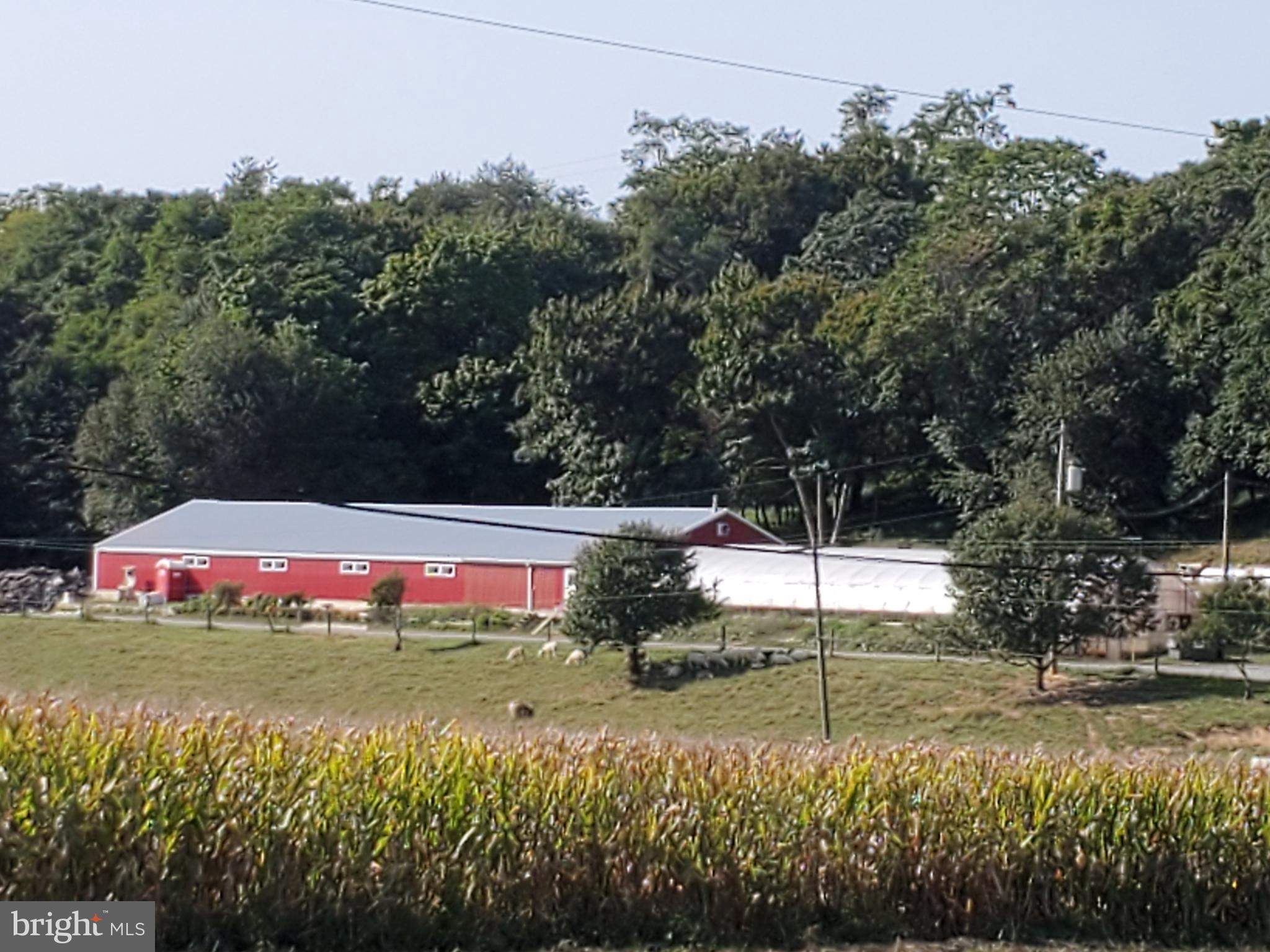MANOR TWP - Farm