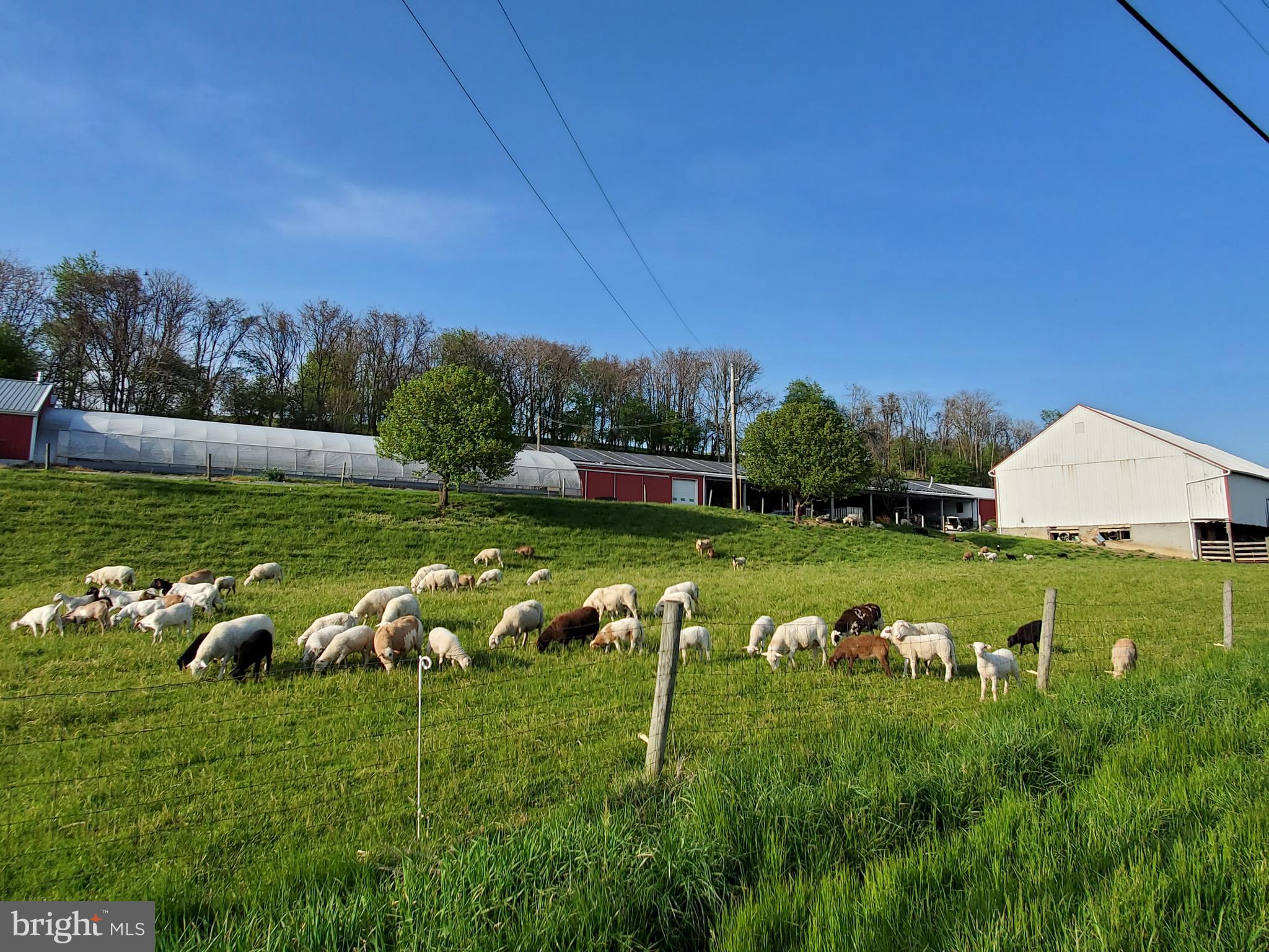MANOR TWP - Farm